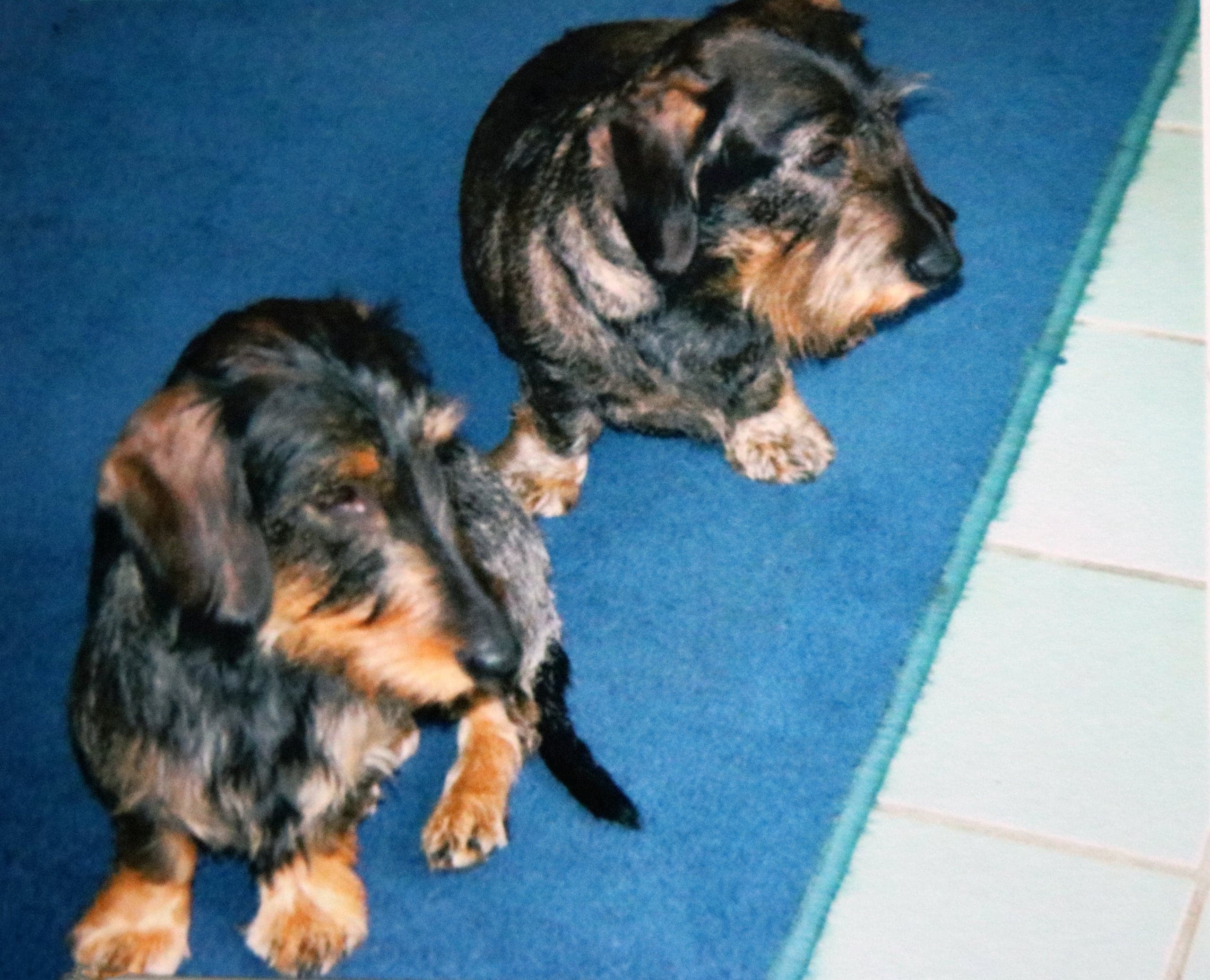 Lizzy en Flo
